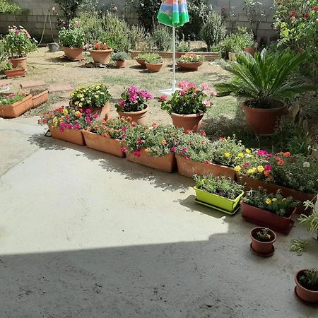 Casa Vacanze Millefiori Codice Iun Q3156 Teulada Exterior foto